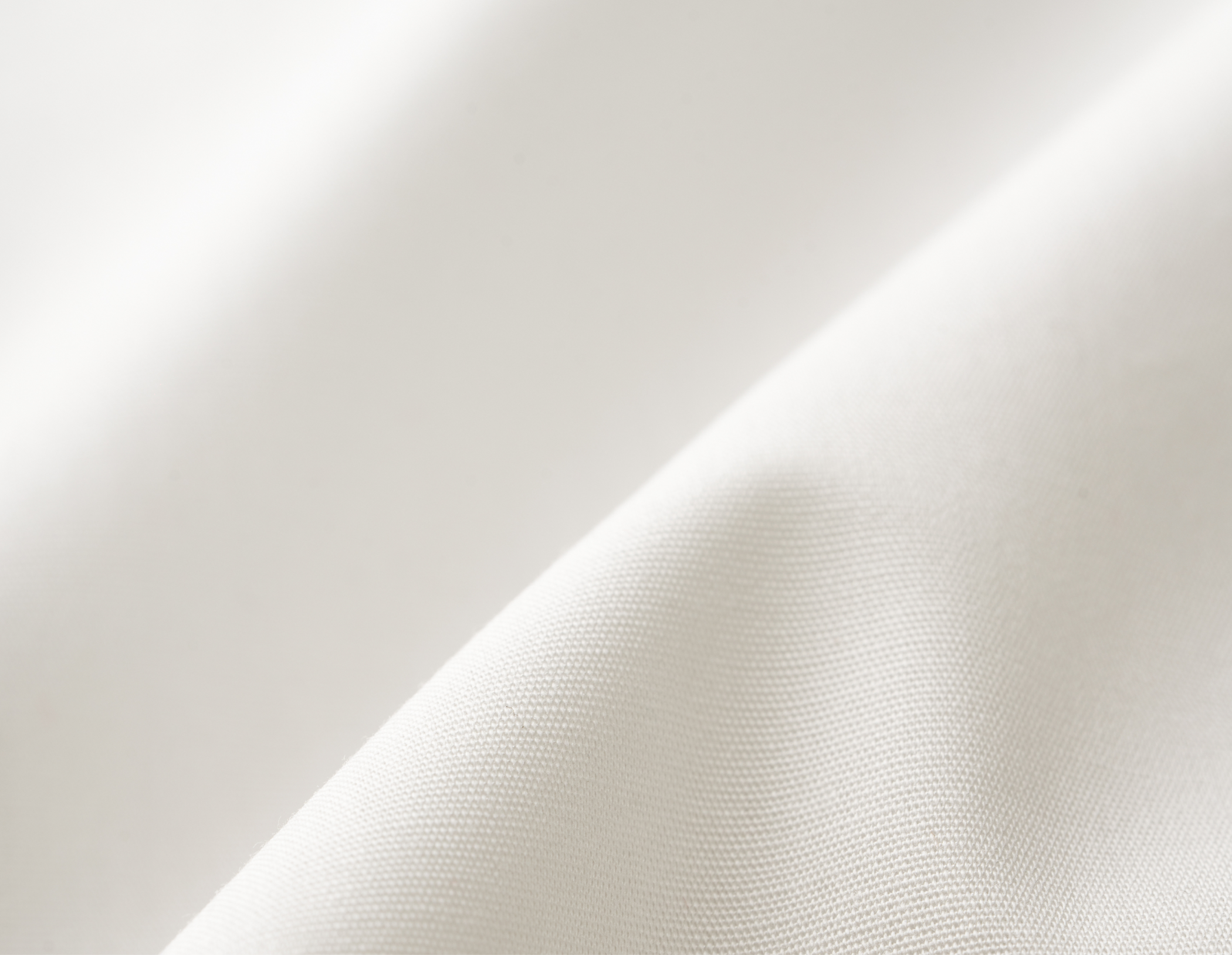 European Poplin Cotton